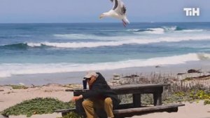 Человек и природа