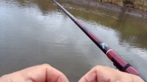 08 ноября 2023 года  Ловля осенней плотвы на реке Десне  Ловля в проводку!