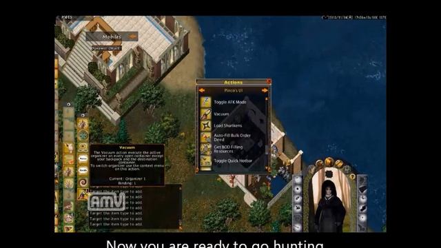 Ultima Online - How To Mass Loot With Pinco's UI смотреть онлайн