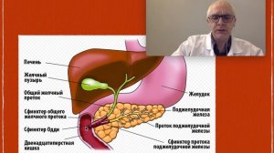 Механическая желтуха на фоне "полного"здоровья???