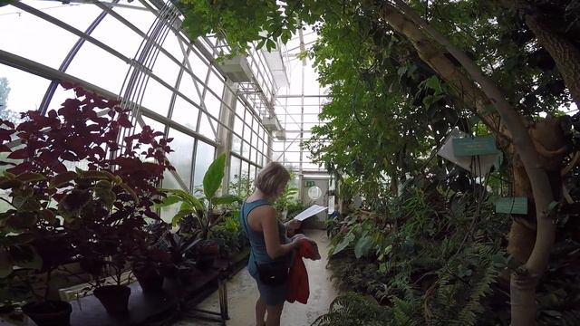 Русские в Финляндии. Joensuu. Спустило колесо. Ботанический сад. смотреть онлайн