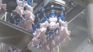 Unveiling the Marvel: The Magnificent World of Fully Automated Poultry Slaughterhouse