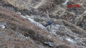 За голубым бараном в Непал. Горная охота Эдуарда Бендерского.