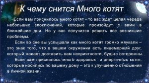 К чему снится Много котят (Сонник)