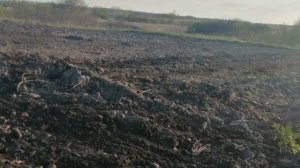 Грабли самодельные на мотоблок