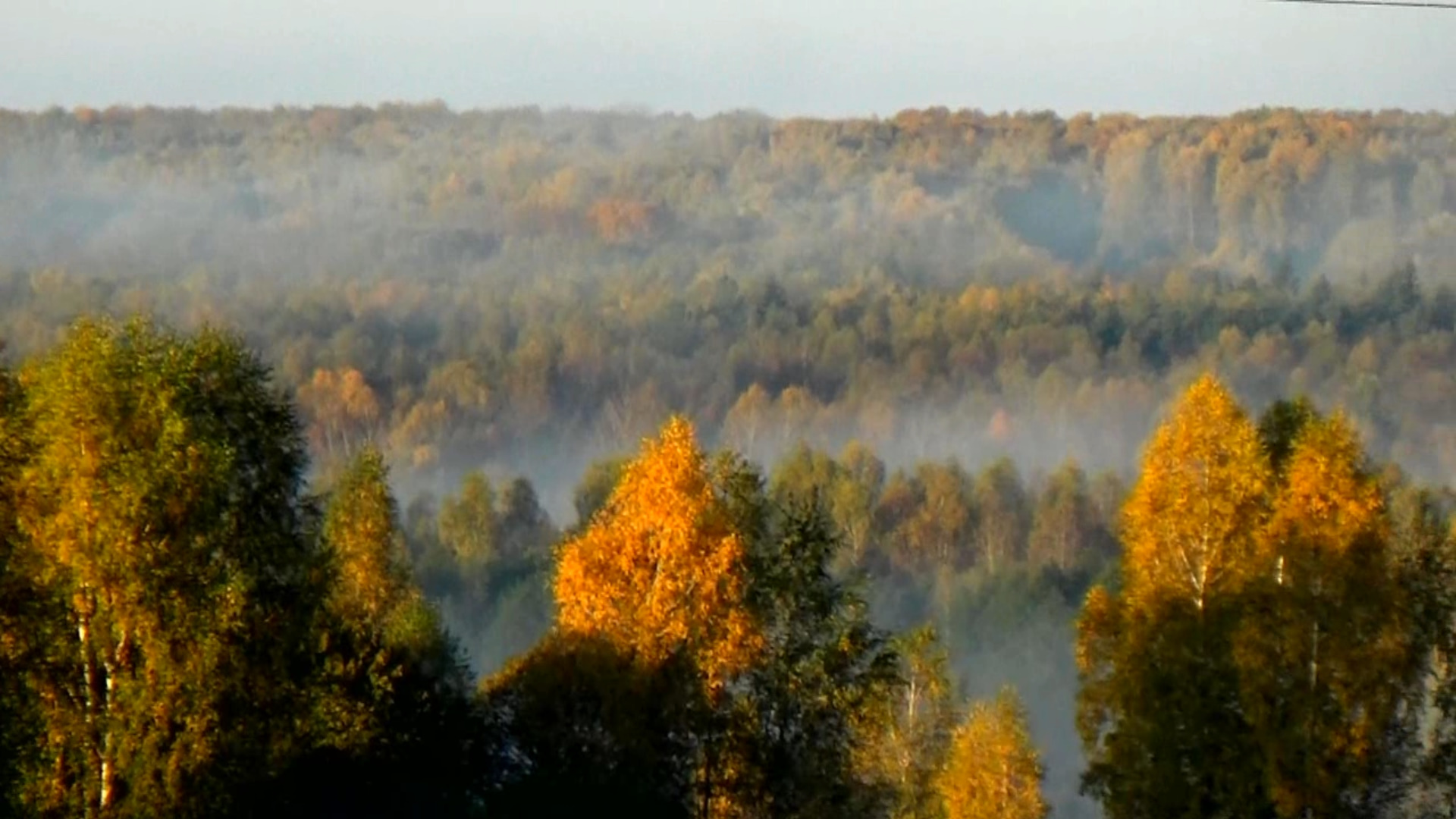 Осенняя природа