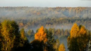 Осенняя природа