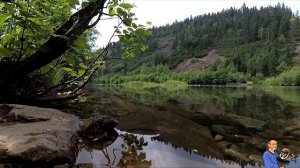 Звуки природы, пение птиц, Звуки Леса, для релаксации, сна, озеро Амут