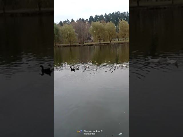 28 октября 2022 г. смотреть онлайн