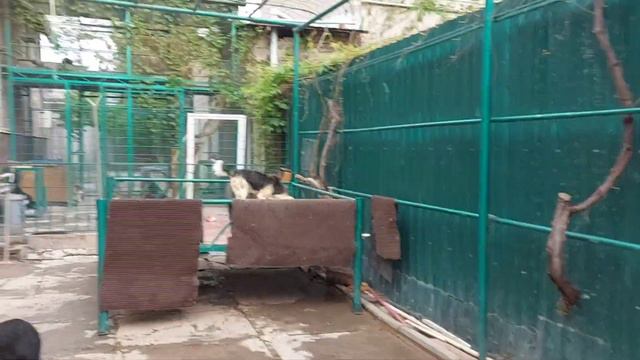 Ташкент. Мой ответ тем, кто не понимает, многого. Спасибо  всем, кто с нами! смотреть онлайн