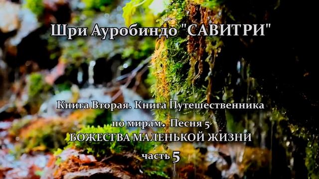 САВИТРИ: поэма-предсказание будущего Земли.Фрагмент 108. - Оживлённая голосом Индрани (И.Пальчикова смотреть онлайн