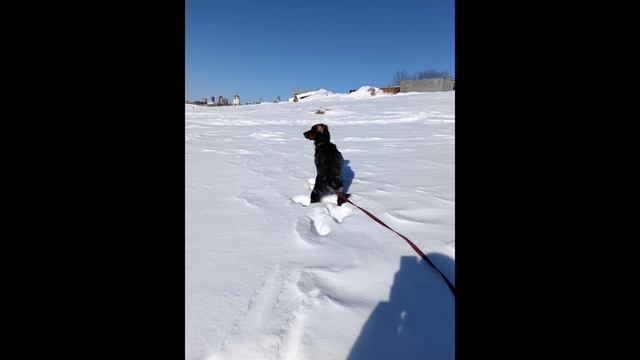 После снегопада смотреть онлайн