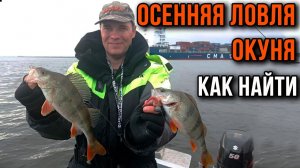 Осенняя ловля окуня, как найти.