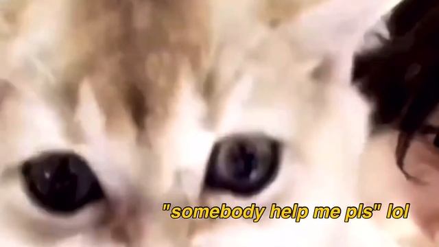 lisa and lego love hate relationship смотреть онлайн