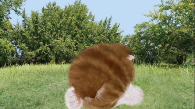 Aabs Animals (PS3) | 100% (All Trophies) смотреть онлайн