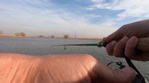 Looking for EARLY SPRING Crappie and Bluegill? CHECK OUT THESE TIPS!