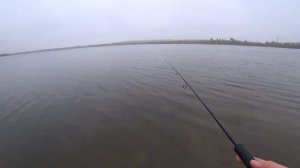 Снимаем сети на Цимлянке. Сентябрьская рыбалка на Озере Павленском.