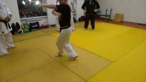 Sanchin kata Kyokushin Budokai kan kancho Astafjev Georg Shihan Molotov Vladimir