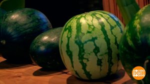 Такие разные арбузы. Доброе утро. Суббота. Фрагмент выпуска от 12.08.2023