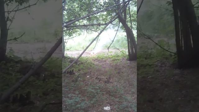 Прикольно взорвался ,,
