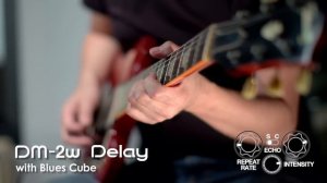 BOSS DM-2W Delay Sound Preview