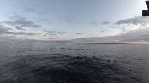 Онежское озеро. Кварцитный