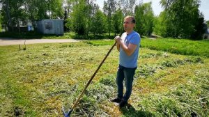 Кедровая роща под Суздалем и старинные сёла