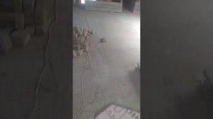 Фановая труба канализации в частном доме.