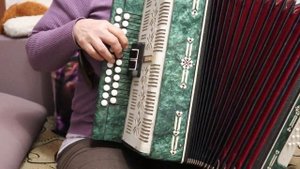 Гармонь "Нарач-3" 25х25-lV, четырёхголосная, с регистром. Тональность- до-мажор.