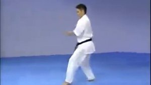 Каратэ Киокушинкай  Ката   Гарю