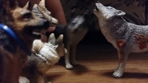 Приключения Гавки и Буси. 1серия На стороне волков (schleich сериал)