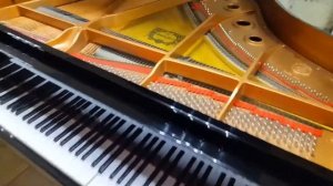 Рояль Yamaha PianoDisk самоиграющий