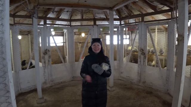 Ферма страусов Уфа Великолепный страус 2021 смотреть онлайн