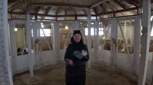 Ферма страусов Уфа Великолепный страус 2021