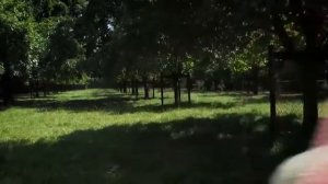 три прекрасных немецких девушки поют веселую песню о милых животных