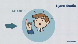 «Цикл Колба» для обучения стажеров