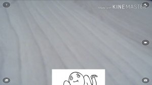 Как подключить вебкамеру к телефону/планшету?