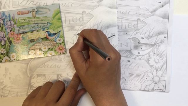 «Птица. Dimensions Дименшнс -1» ?КАРАНДАШИ | Сезон 1-8 |Мастер-класс для начинающих смотреть онлайн