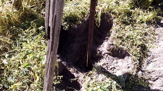 Столбы под виноградник. смотреть онлайн