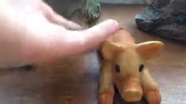 Игрушки для йорка