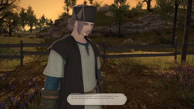 Our Closure (Lvl 80 Drk Quest Quest) | FFXIV: Shadowbringers смотреть онлайн