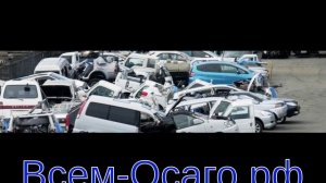 Во Владивостоке значительно вырос объем ввоза иномарок физлицами