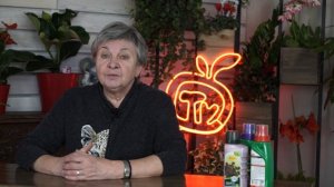 Осторожно! Щитовка на комнатных растениях ✔️ Как избавится от вредителей цветов ✔️ Липкий лист
