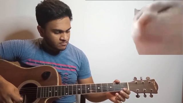 Levan Polkka Guitar Cover | Cat Vibing Meme смотреть онлайн