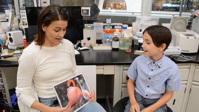 Learning Science For Kids | Meet the Scientist Erica Zahnle | Kids Educational Videos смотреть онлайн