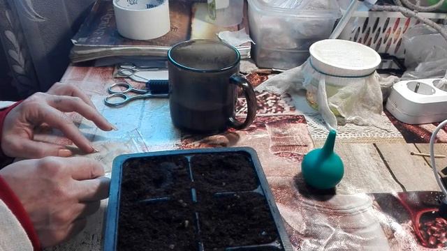 Готовлю обед / Сею томаты / Добрый снеговик / Жизнь в селе. смотреть онлайн