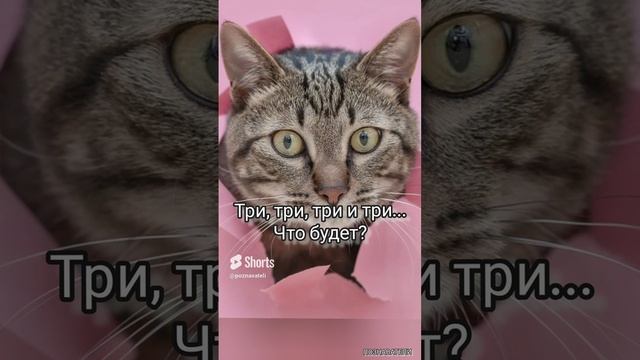 Три, три, три и три…Что будет?