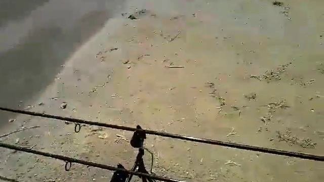 Карповая рыбалка в ст. Павловской