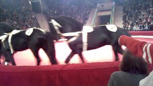 Новогоднее представление в цирке 3 часть.