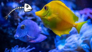 Диаграмма Исикавы Чем полезна